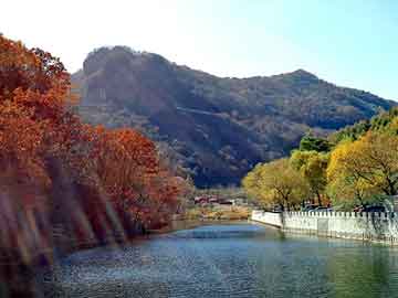 37岁女星江若琳突发车祸，汉川seo程序